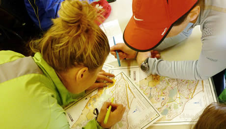 orienteering, checking the route