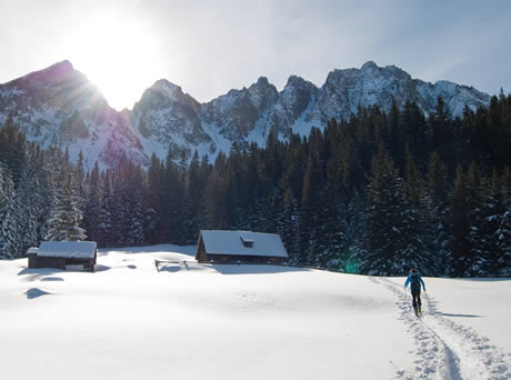 langlauf ski trail